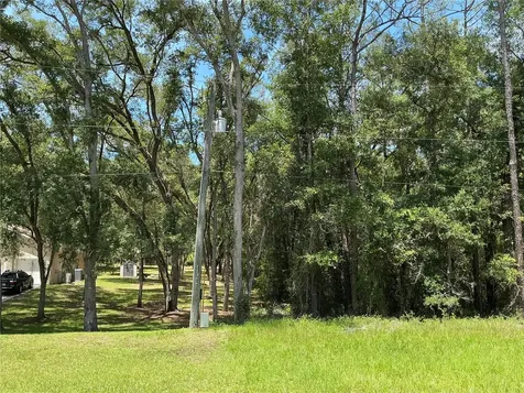 SW 102nd St Road Dunnellon FL 34431