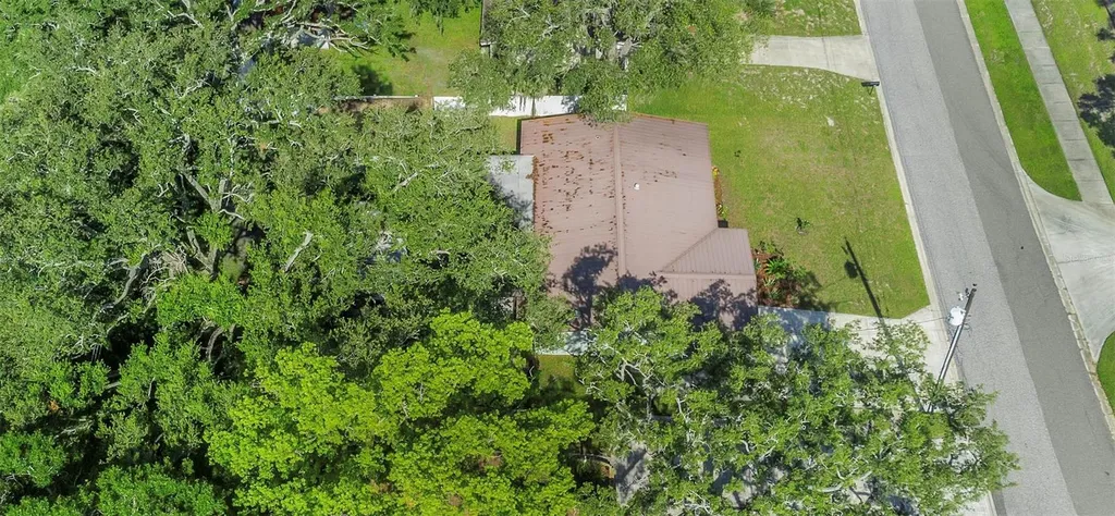 1412 Oak Haven Drive Safety Harbor FL 34695
