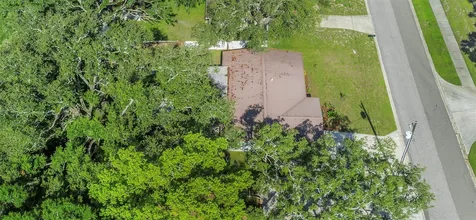 1412 Oak Haven Drive Safety Harbor FL 34695