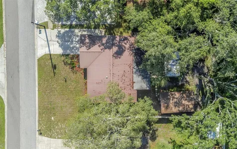 1412 Oak Haven Drive Safety Harbor FL 34695