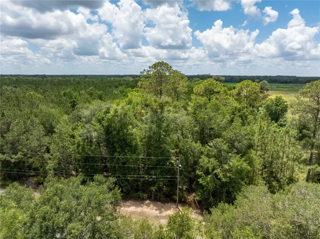 17198 SW State Road 47 Fort White FL 32038
