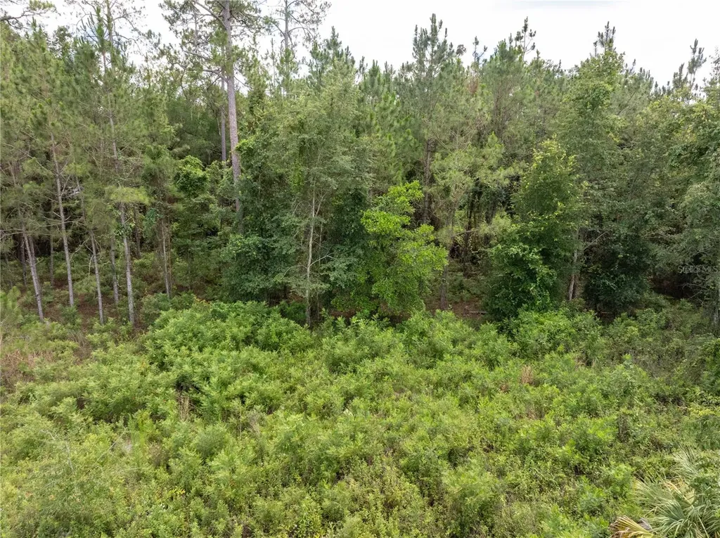 17198 SW State Road 47 Fort White FL 32038