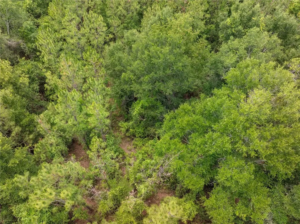17198 SW State Road 47 Fort White FL 32038
