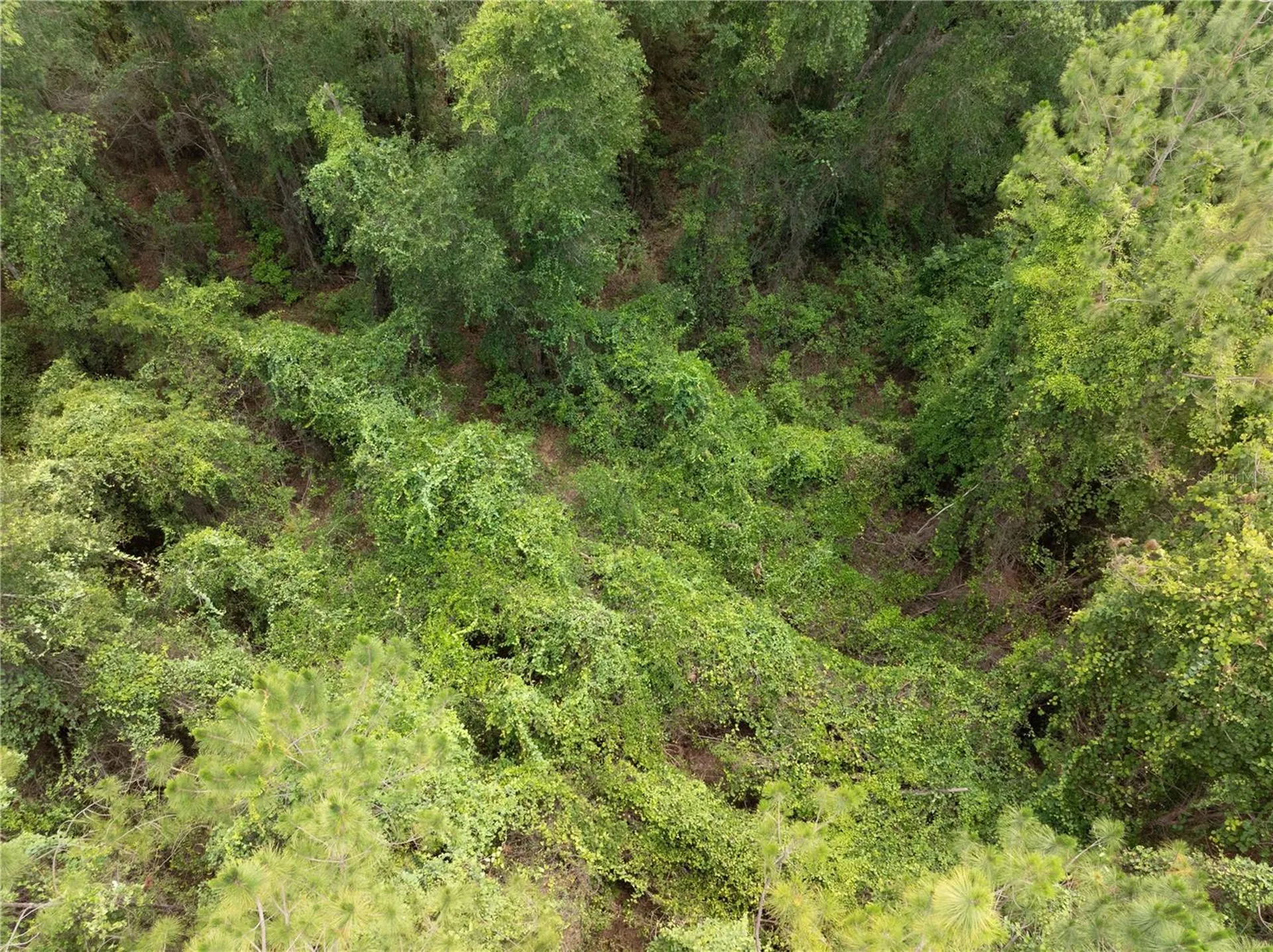 17198 SW State Road 47 Fort White FL 32038