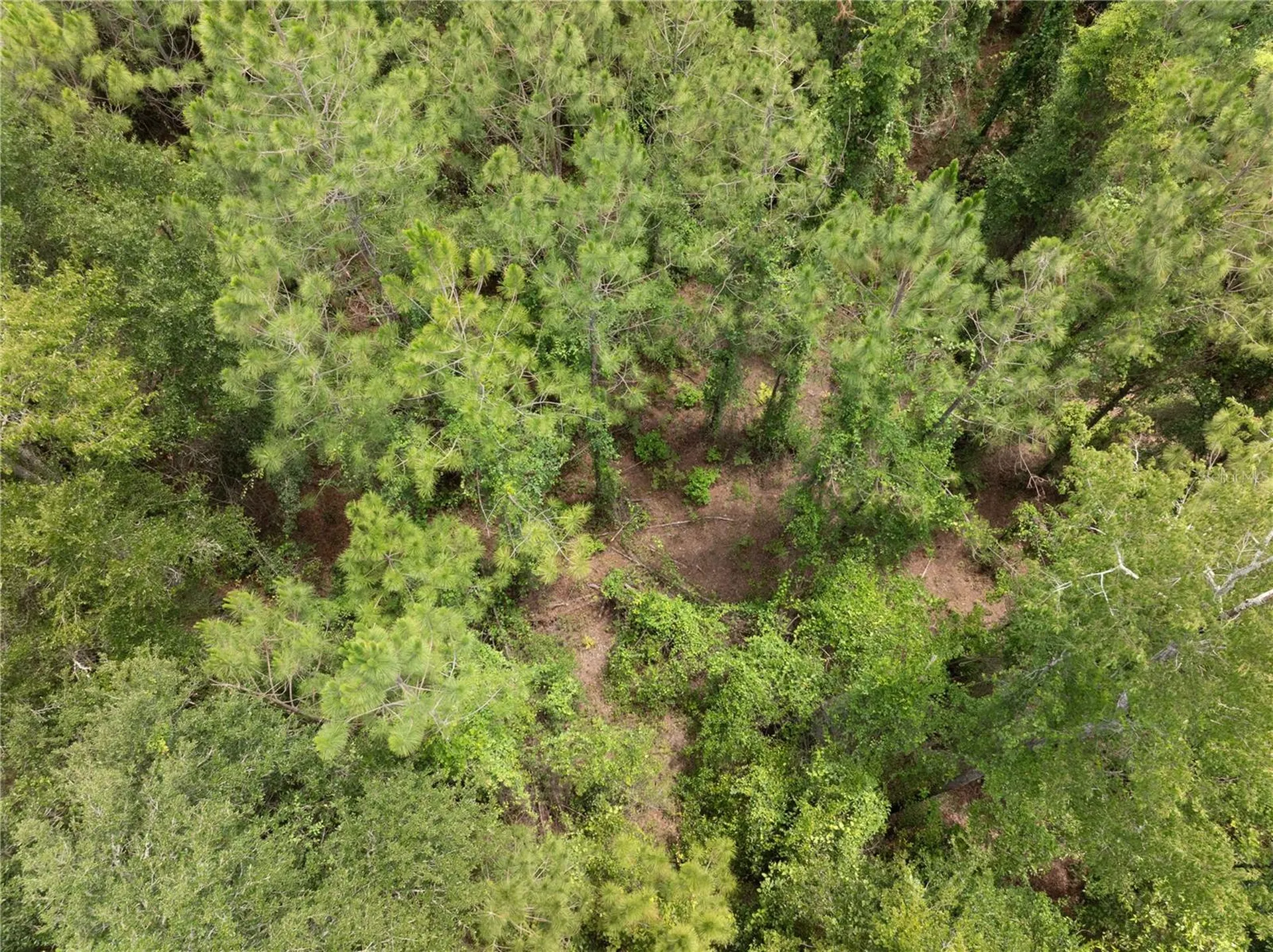 17198 SW State Road 47 Fort White FL 32038