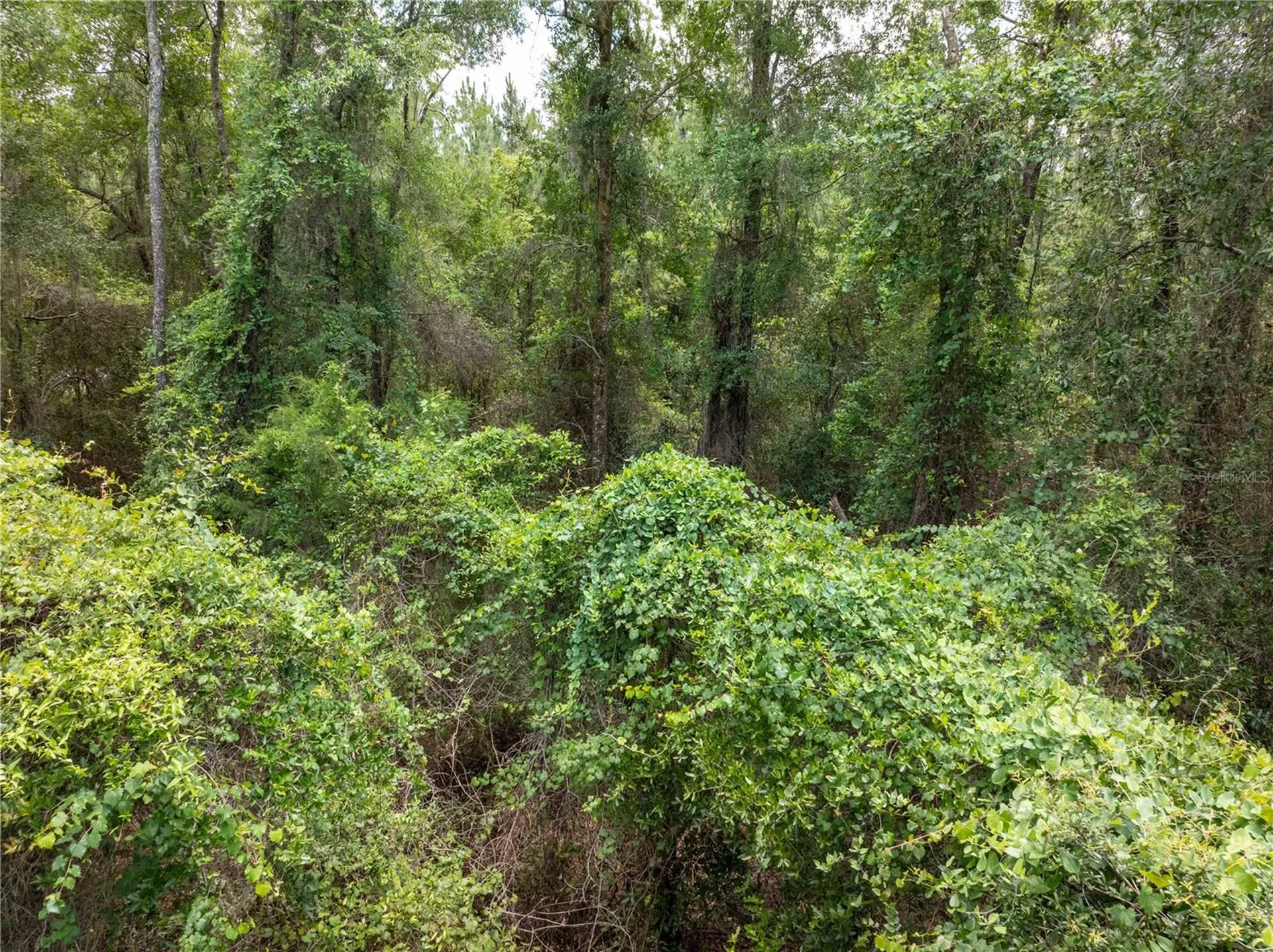 17198 SW State Road 47 Fort White FL 32038