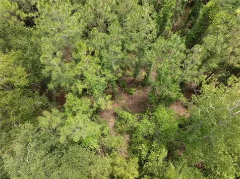 17198 SW State Road 47 Fort White FL 32038