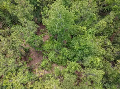 17198 SW State Road 47 Fort White FL 32038