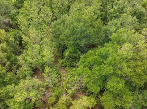 17198 SW State Road 47 Fort White FL 32038