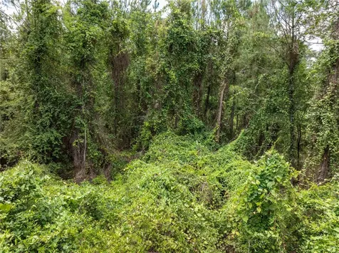 17198 SW State Road 47 Fort White FL 32038