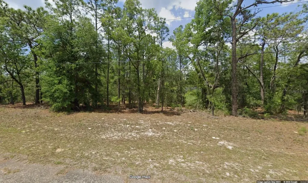 447 W Cabot Lane Dunnellon FL 34434