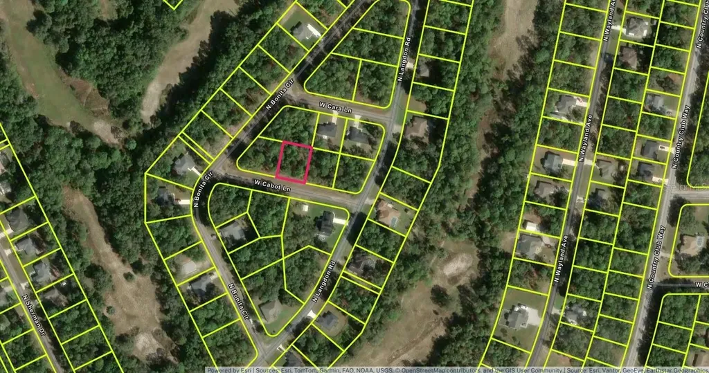 447 W Cabot Lane Dunnellon FL 34434