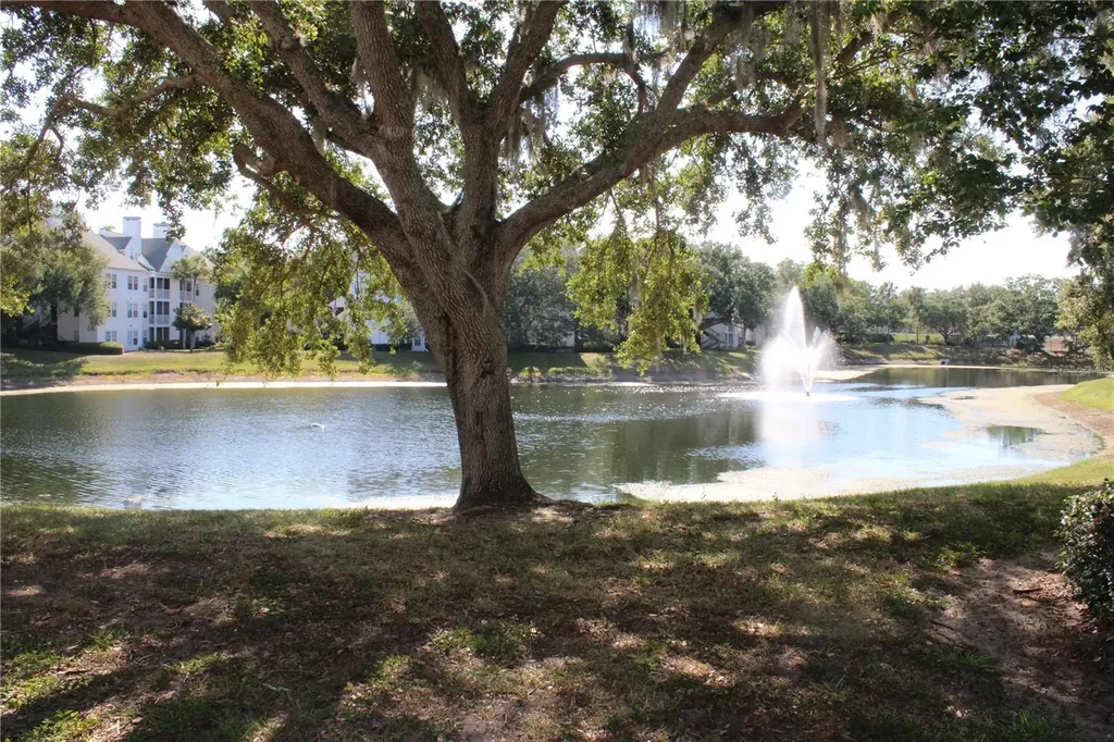 3300 Haviland Court Palm Harbor FL 34684