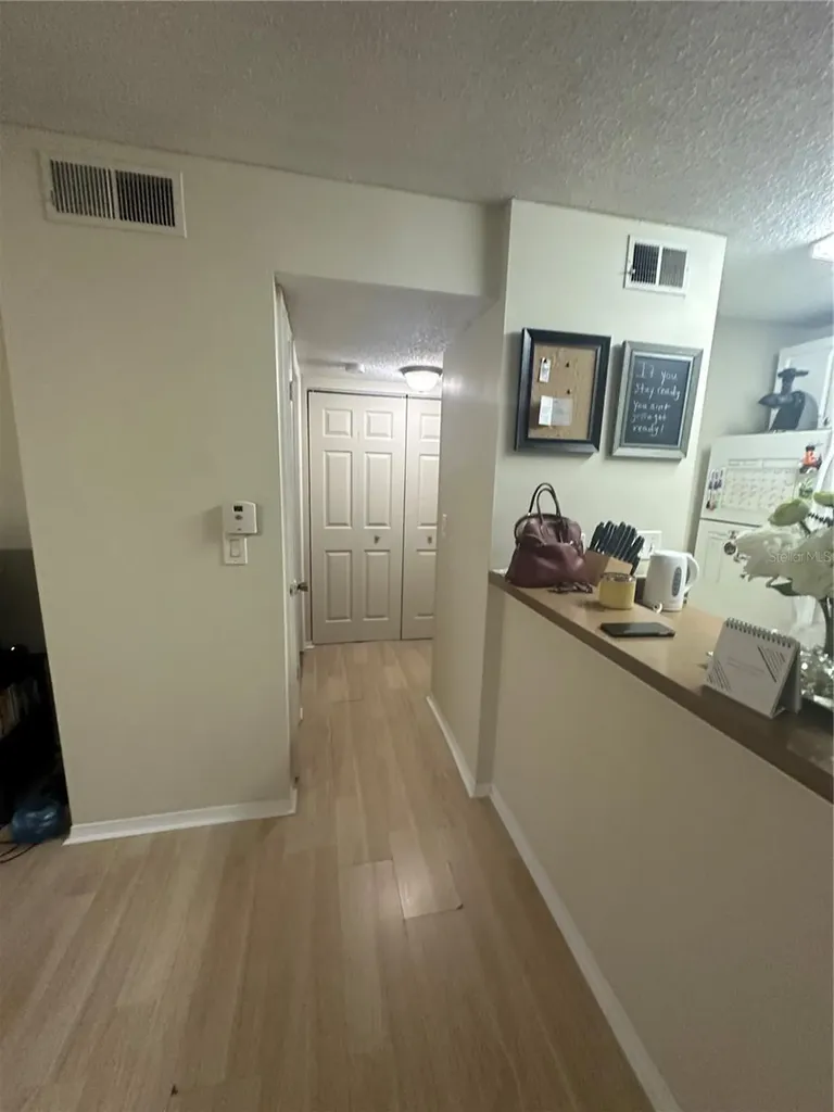 10024 Strafford Oak Court Tampa FL 33624
