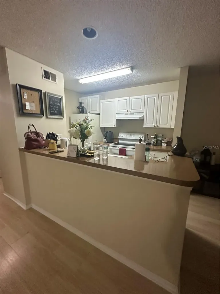 10024 Strafford Oak Court Tampa FL 33624