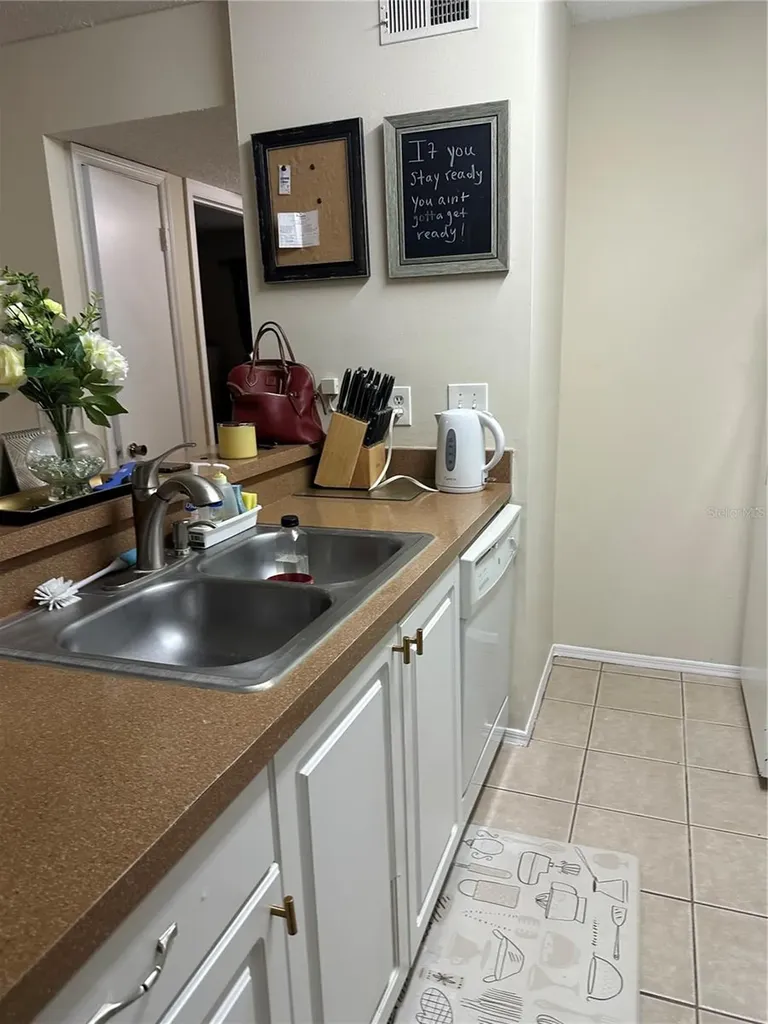 10024 Strafford Oak Court Tampa FL 33624