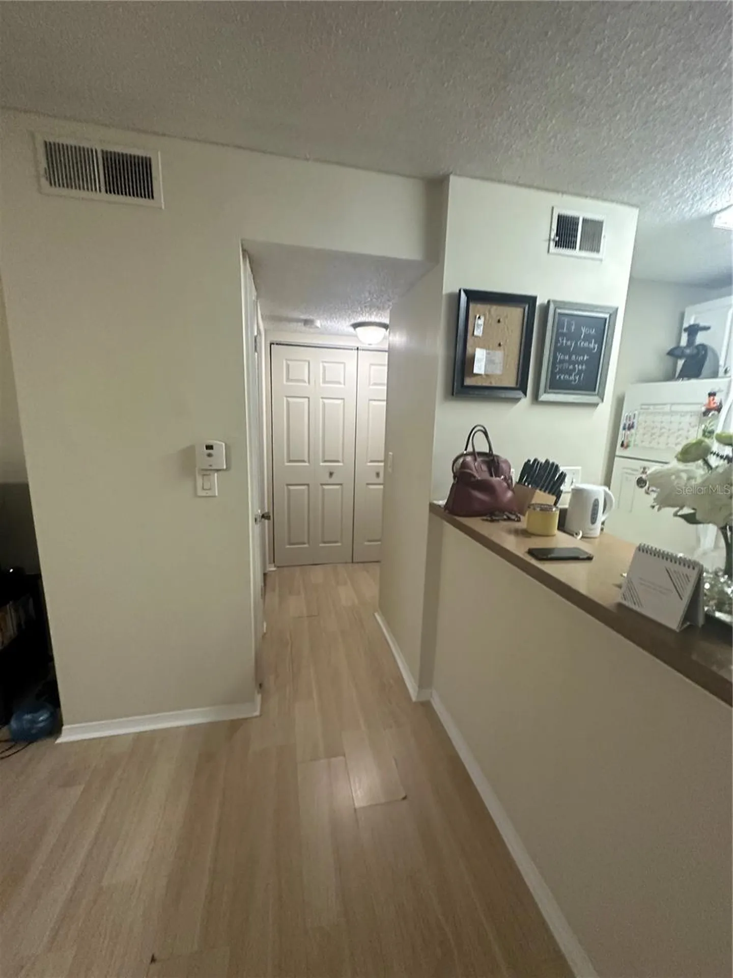 10024 Strafford Oak Court Tampa FL 33624