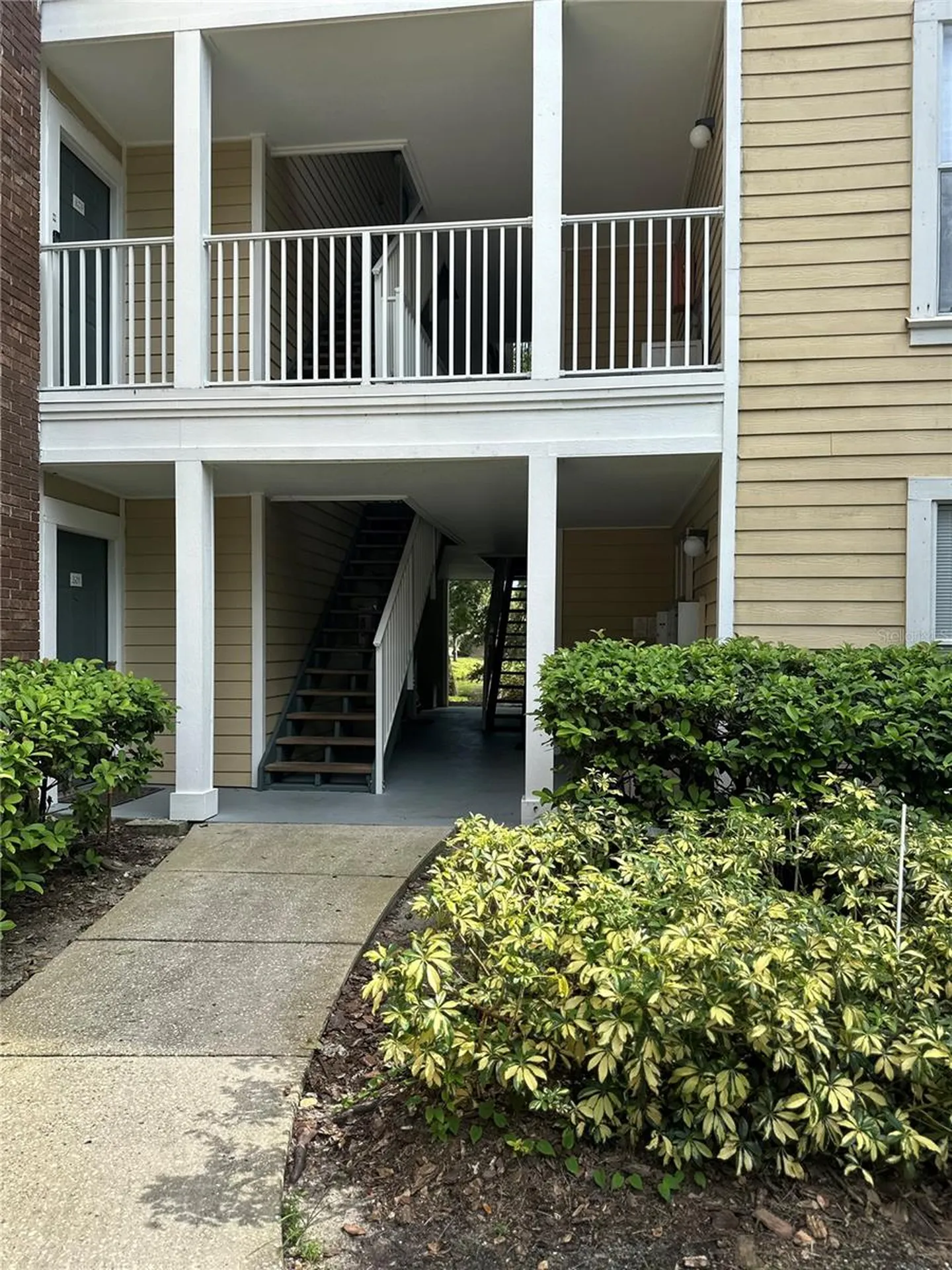 10024 Strafford Oak Court Tampa FL 33624