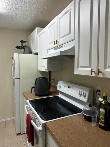 10024 Strafford Oak Court Tampa FL 33624