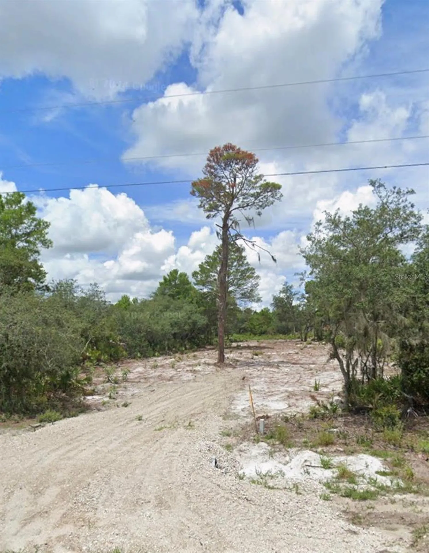Woodstork Way Frostproof FL 33843