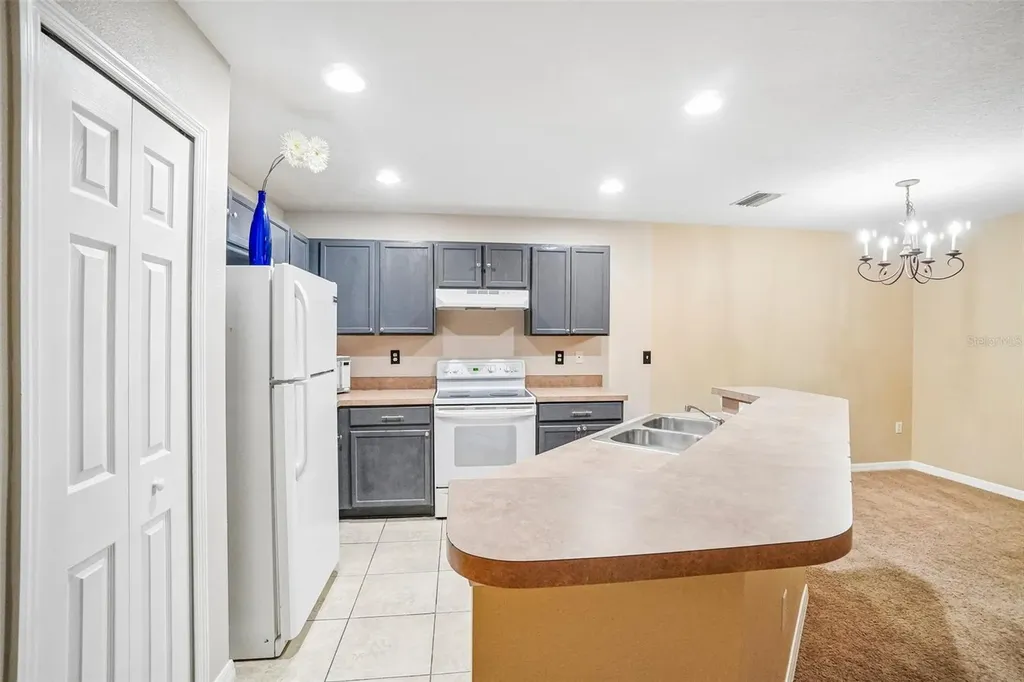 2516 Oleander Lakes Drive Brandon FL 33511
