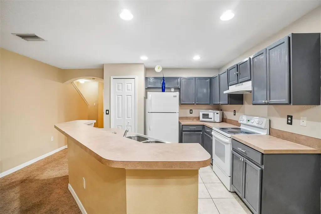 2516 Oleander Lakes Drive Brandon FL 33511