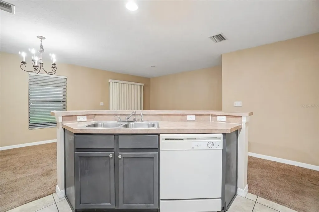 2516 Oleander Lakes Drive Brandon FL 33511