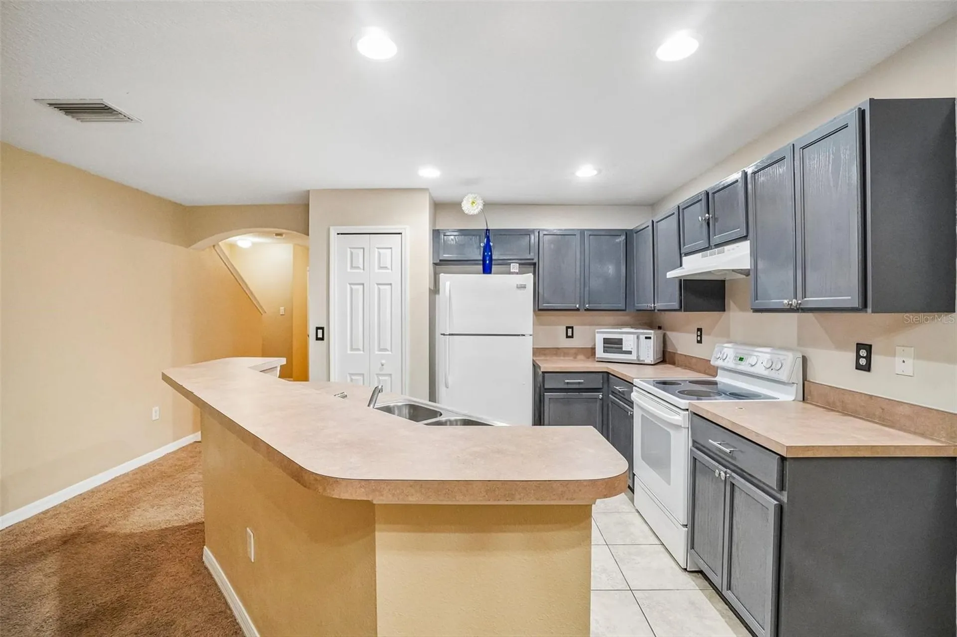 2516 Oleander Lakes Drive Brandon FL 33511