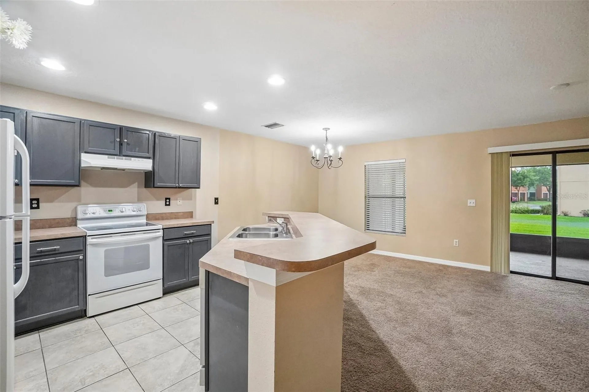 2516 Oleander Lakes Drive Brandon FL 33511
