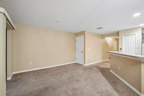 2516 Oleander Lakes Drive Brandon FL 33511