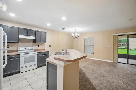 2516 Oleander Lakes Drive Brandon FL 33511