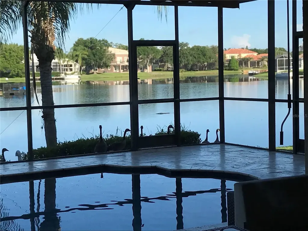 18018 Java Isle Drive Tampa FL 33647
