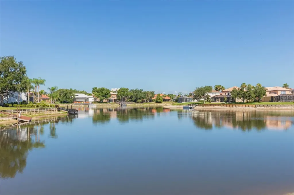 18018 Java Isle Drive Tampa FL 33647