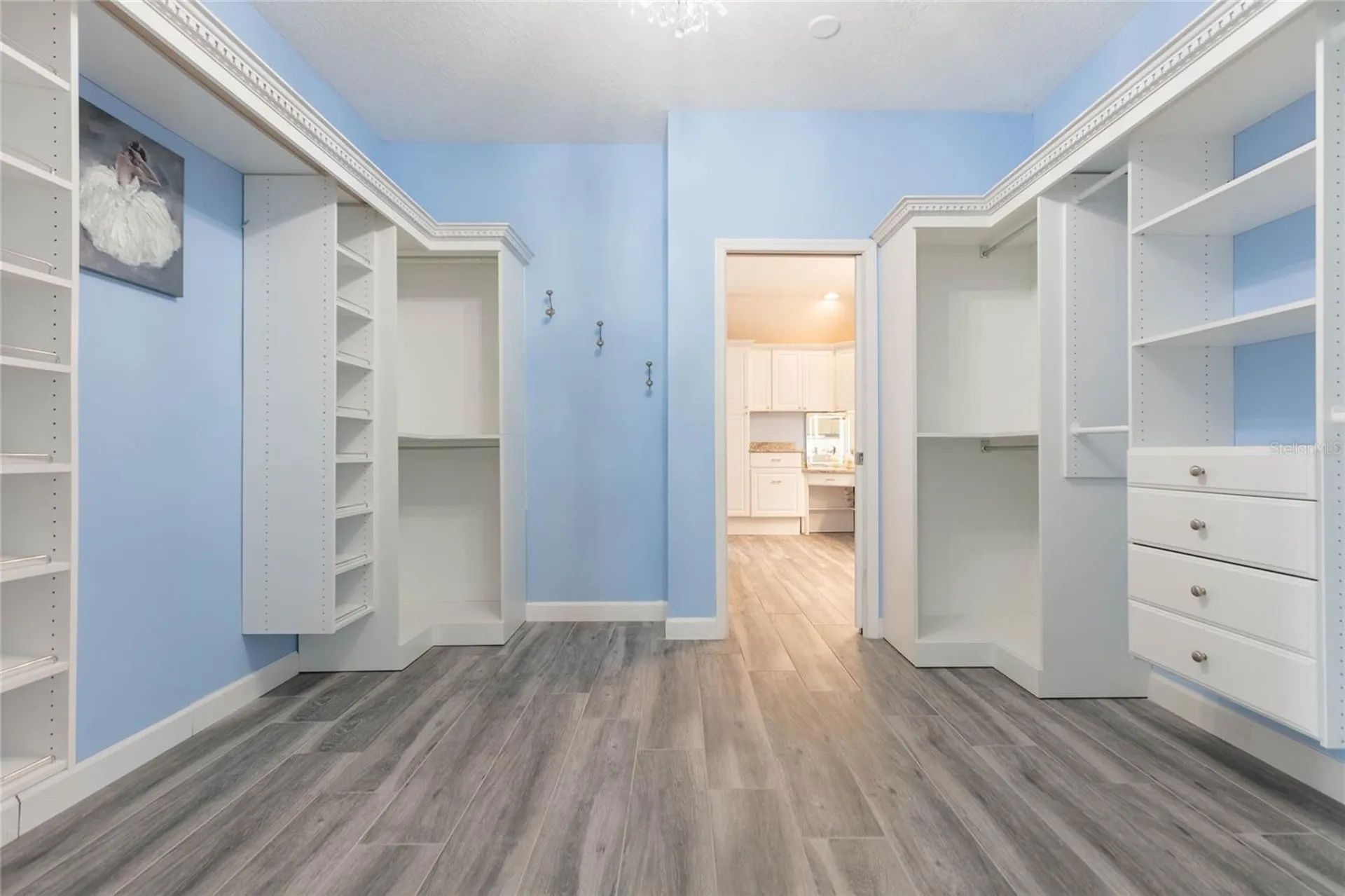 18018 Java Isle Drive Tampa FL 33647
