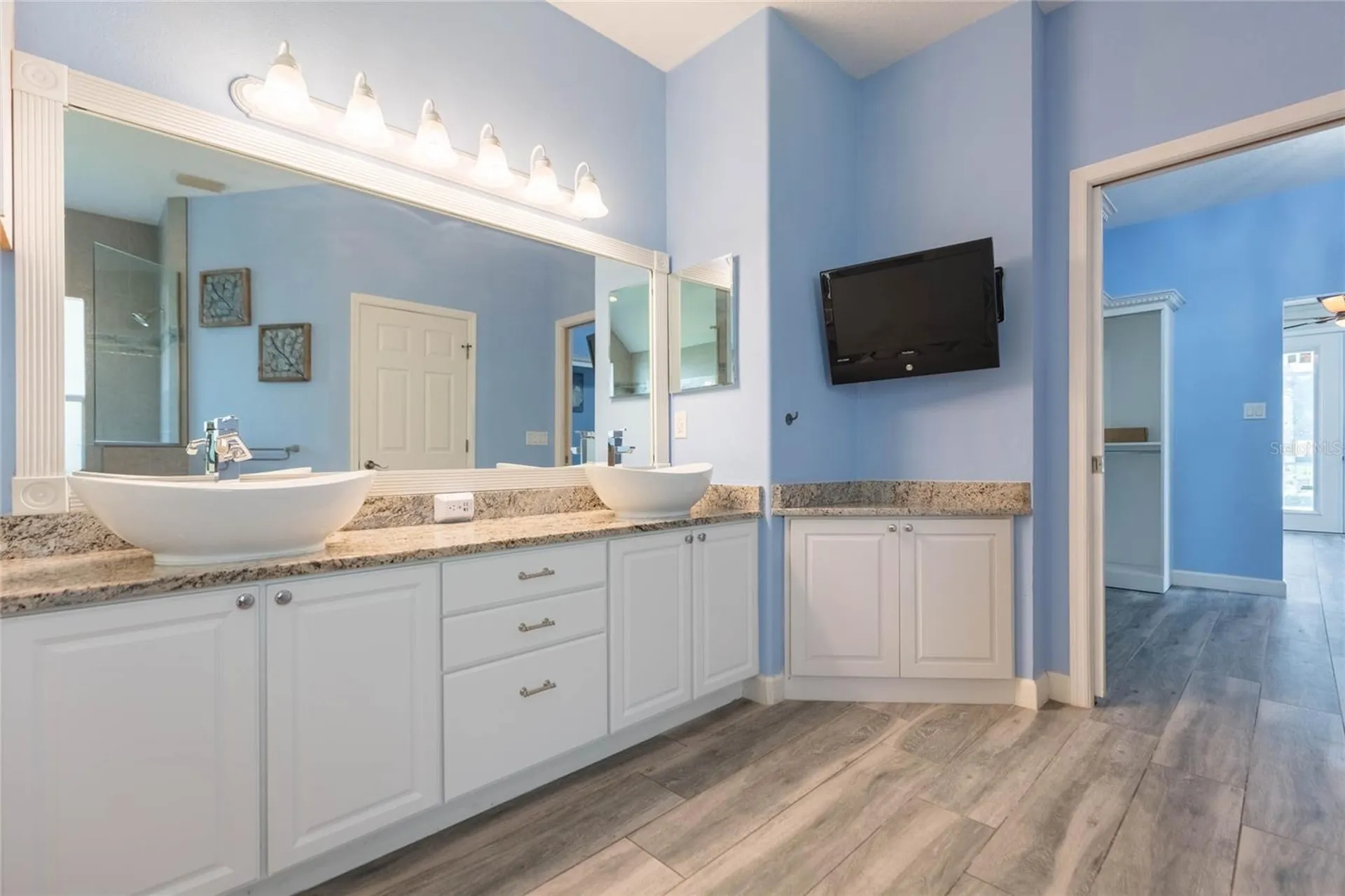 18018 Java Isle Drive Tampa FL 33647