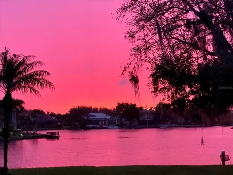 18018 Java Isle Drive Tampa FL 33647