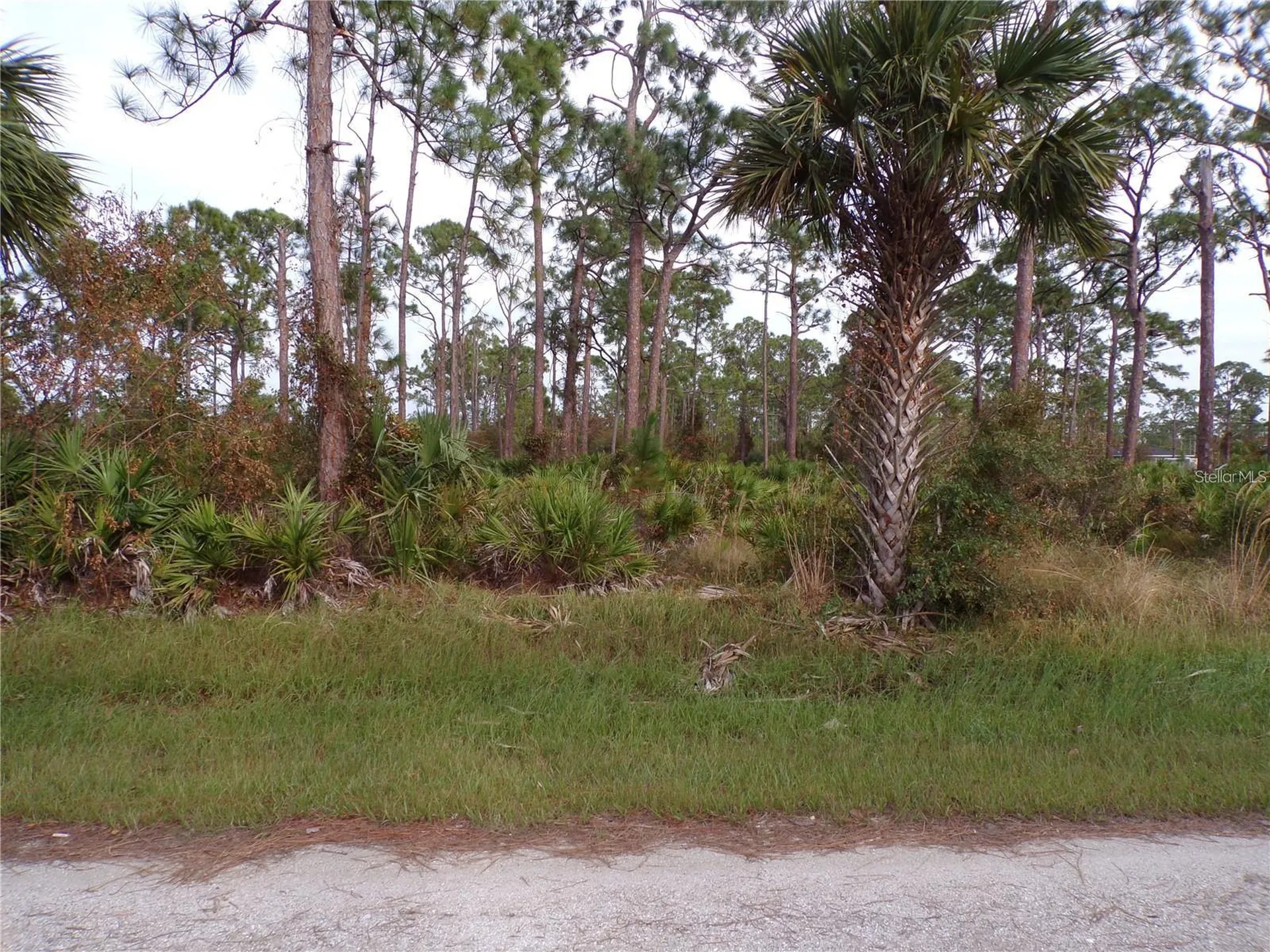 13338 Wedgewood Drive Punta Gorda FL 33955