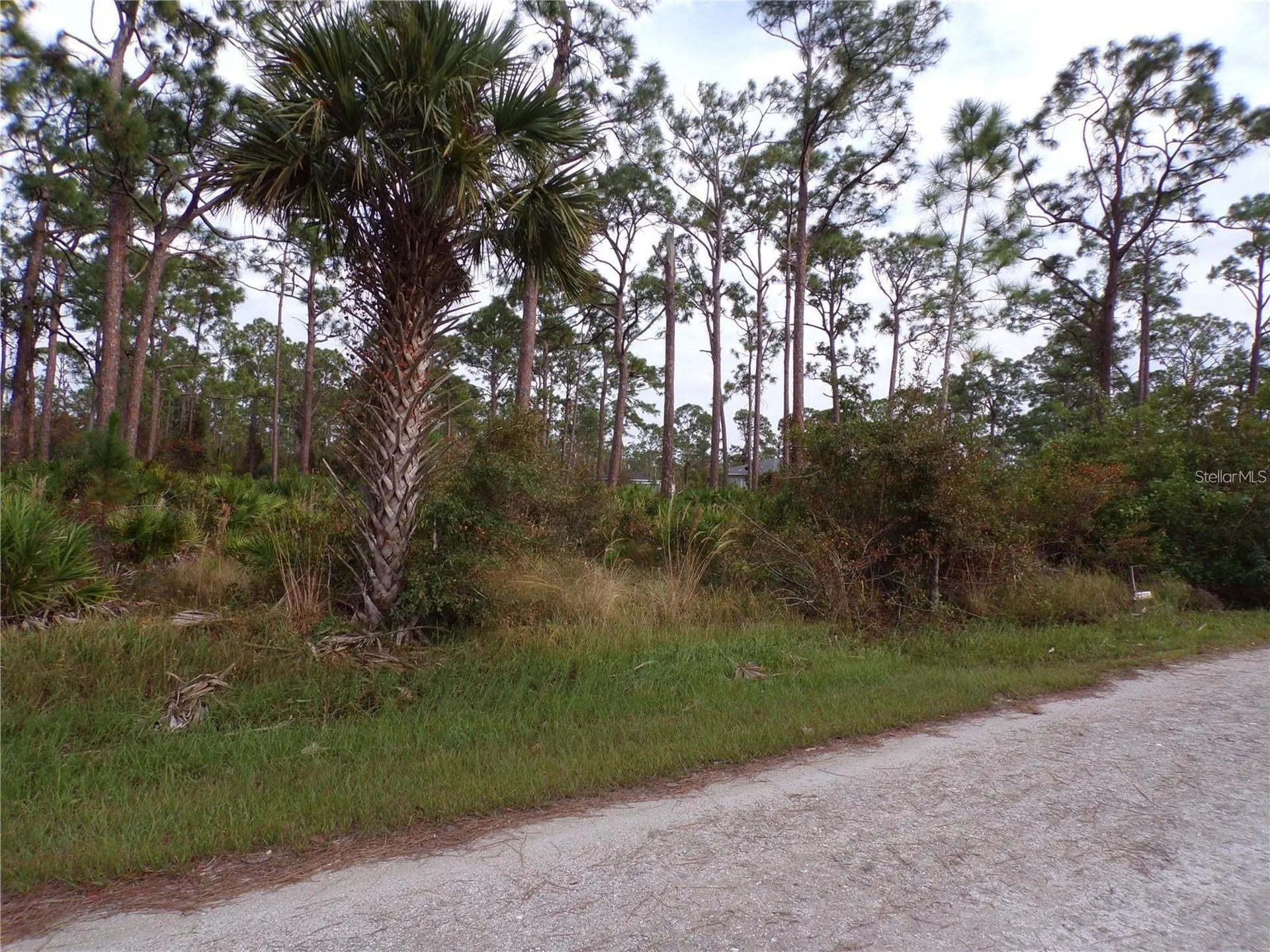 13338 Wedgewood Drive Punta Gorda FL 33955