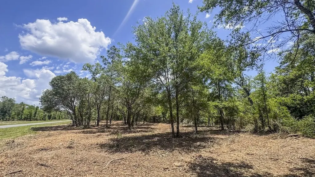 Tbd NE 75 Street Williston FL 32696