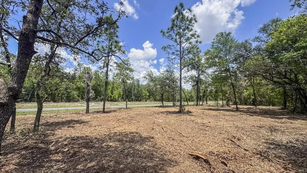 Tbd NE 75 Street Williston FL 32696