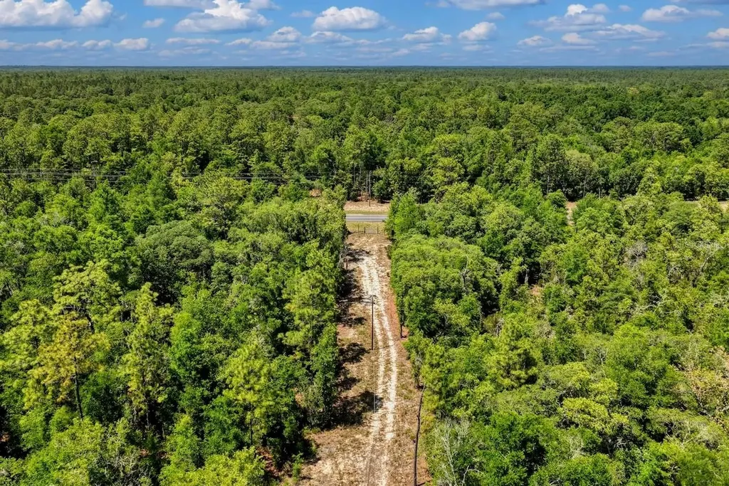 Tbd NE 75 Street Williston FL 32696