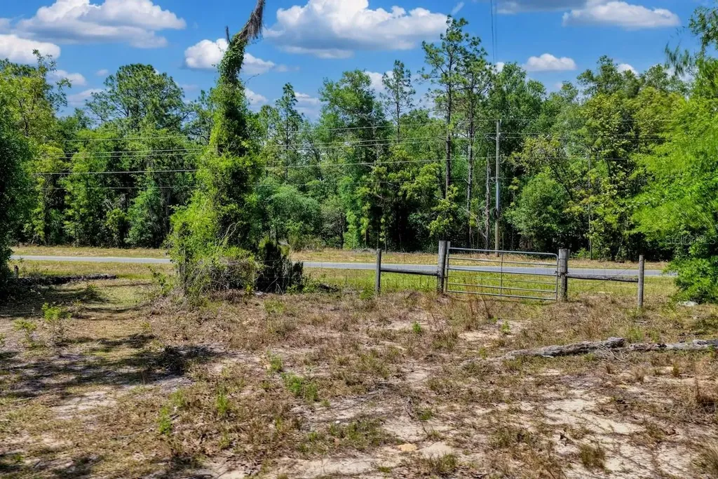 Tbd NE 75 Street Williston FL 32696