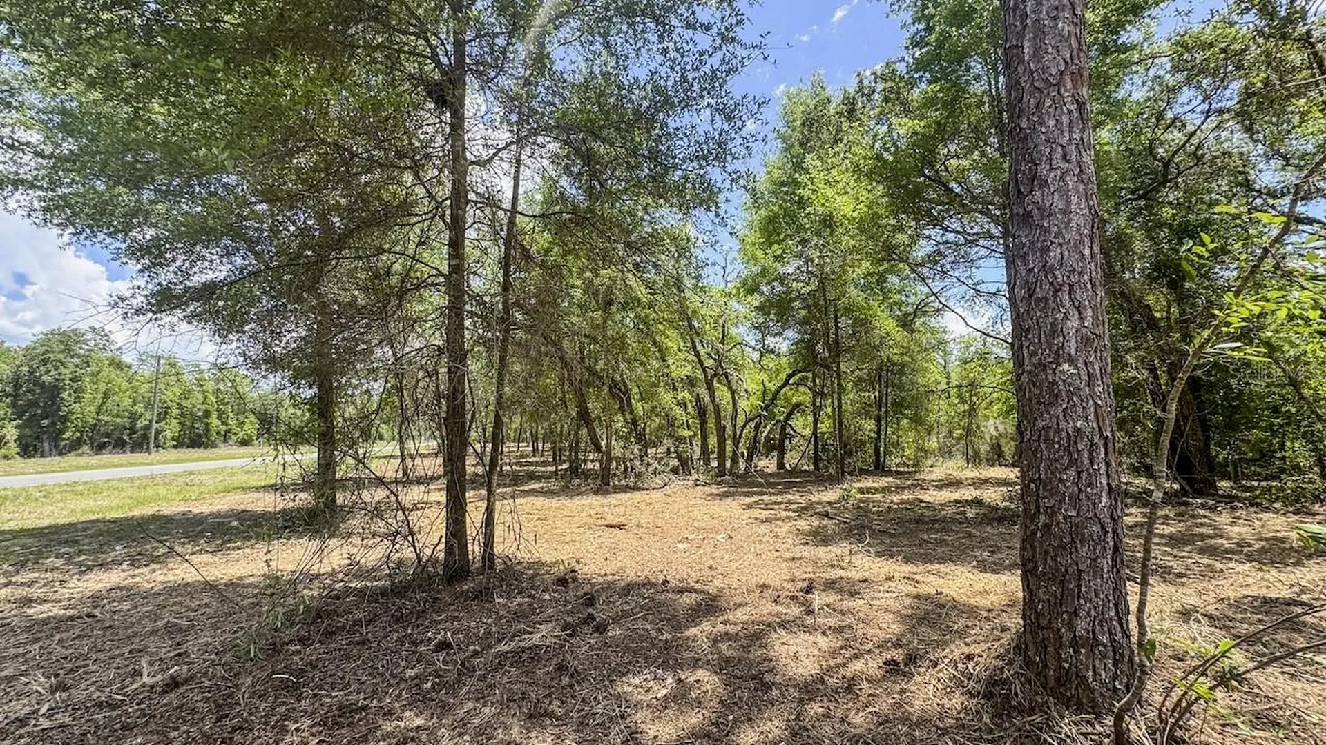 Tbd NE 75 Street Williston FL 32696