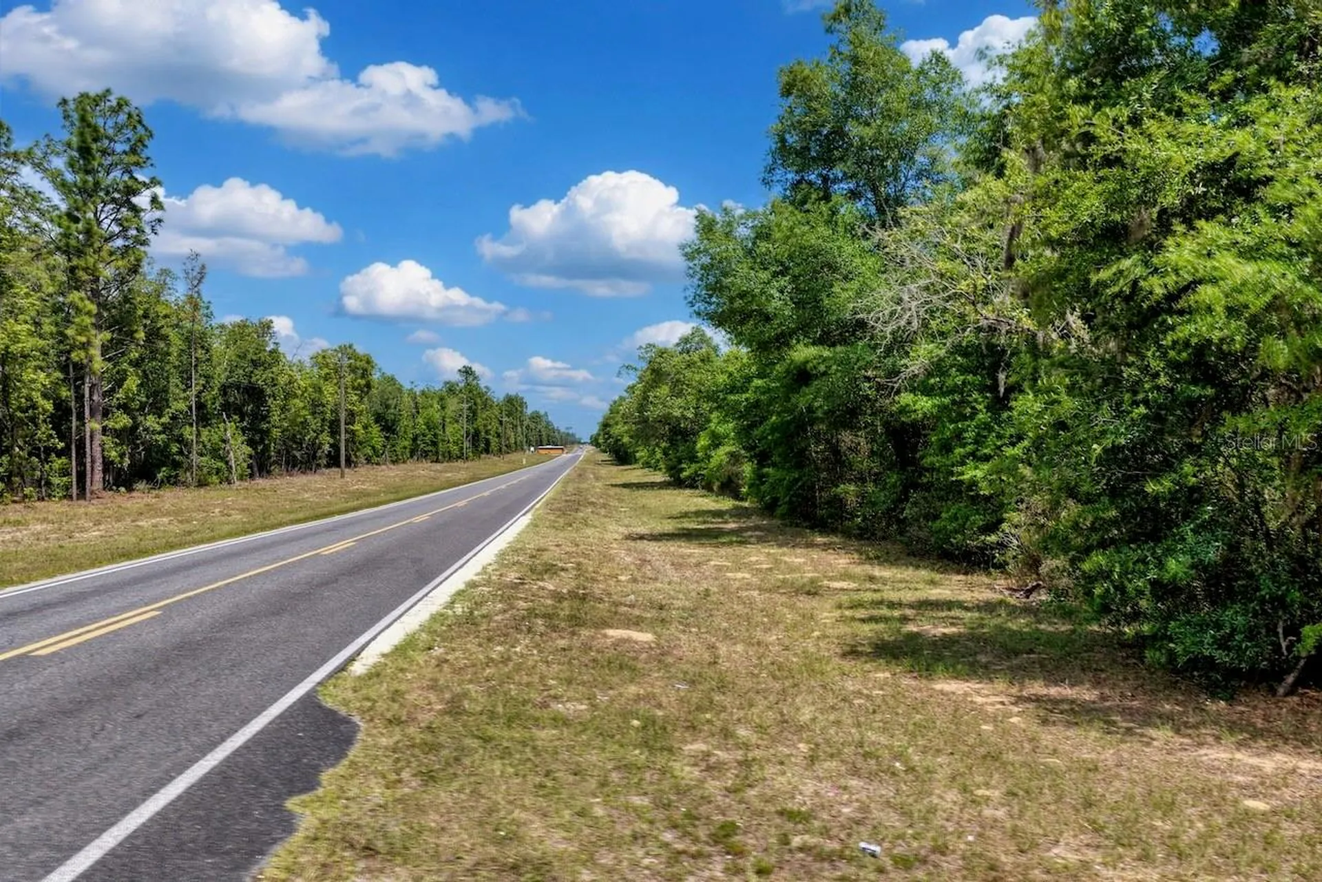 Tbd NE 75 Street Williston FL 32696