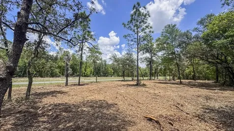 Tbd NE 75 Street Williston FL 32696