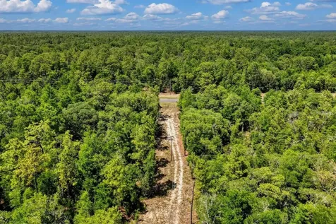 Tbd NE 75 Street Williston FL 32696