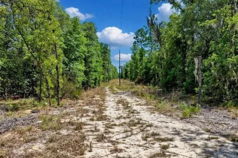 Tbd NE 75 Street Williston FL 32696