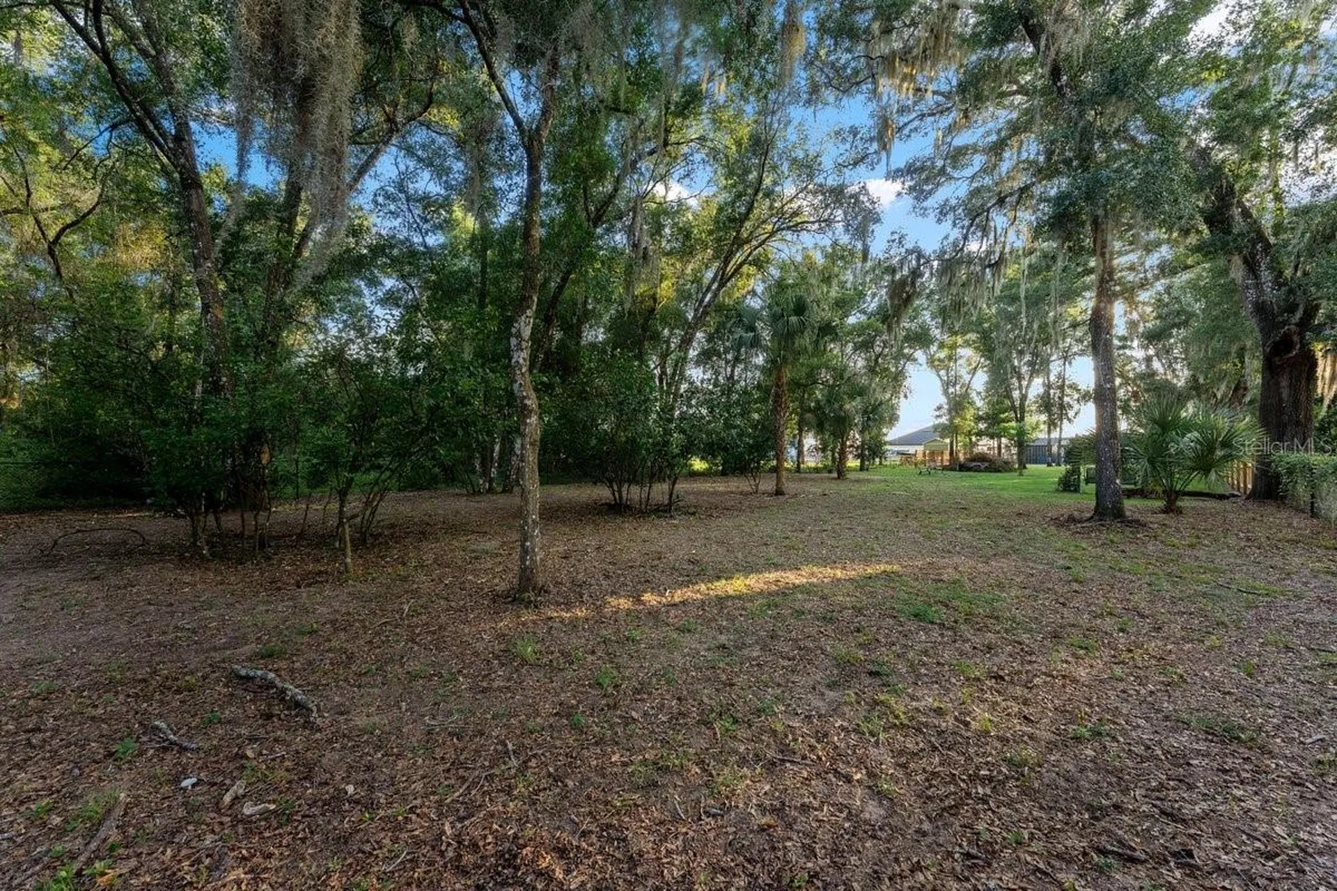 590 Lake Winnemissett Drive Deland FL 32724