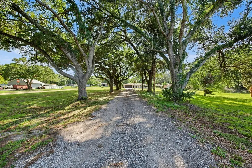 10073 Lake Meadow Road Apopka FL 32703