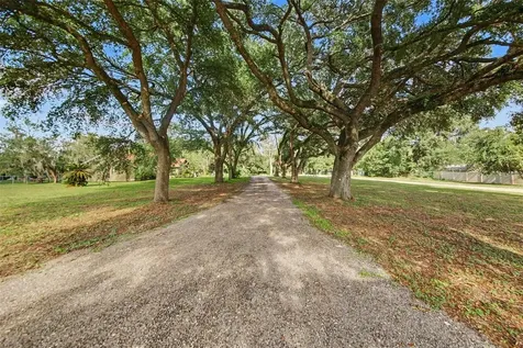 10073 Lake Meadow Road Apopka FL 32703